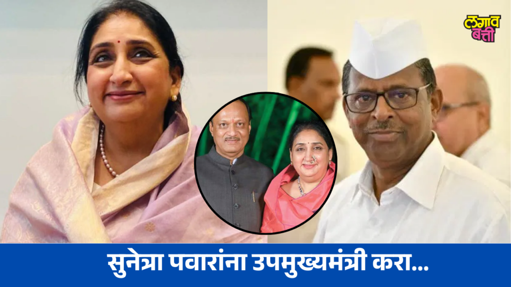 सुनेत्रा पवारांना उपमुख्यमंत्री करा: नरहरी झिरवळ यांच्या वक्तव्यामुळे राष्ट्रवादीत चर्चेची लाट