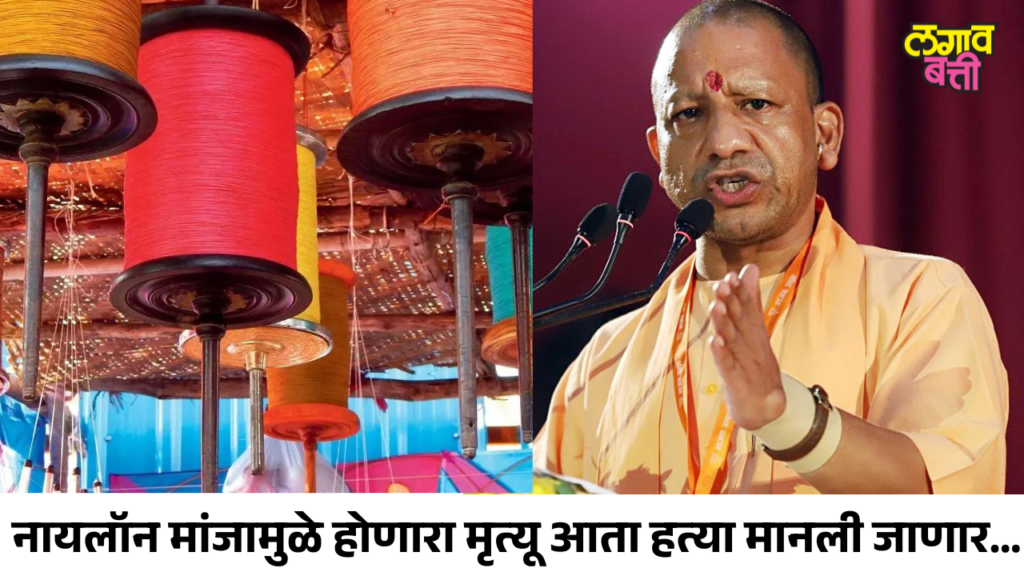 यूपीमध्ये नायलॉन मांजामुळे होणारा मृत्यू आता हत्या मानली जाणार; योगी आदित्यनाथांचा अधिकाऱ्यांना इशारा