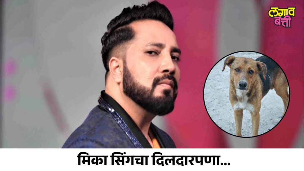 मिका सिंगचा दिलदारपणा; भटक्या कुत्र्यांसाठी १० एकर जमीन दान