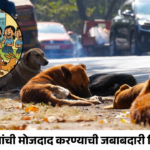 शिक्षकांवर नवी जबाबदारी? शाळा परिसरातील भटक्या कुत्र्यांची मोजदाद करण्यासाठी शिक्षकांना नोडल अधिकारी करण्याचा प्रस्ताव